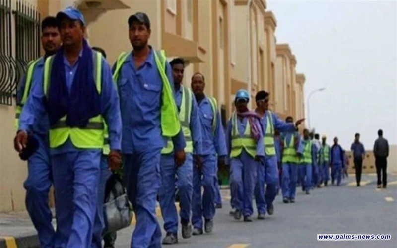 العمل تنفي إصدار قرار بمنع استقدام العمالة الأجنبية